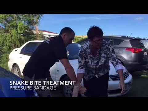 First Aid treatment for snake bite